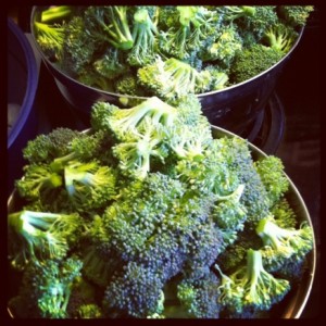the stalks off of broccoli. Split larger bunches or remaining broccoli ...