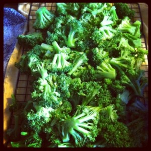 How To Blanch and Flash Freeze Broccoli