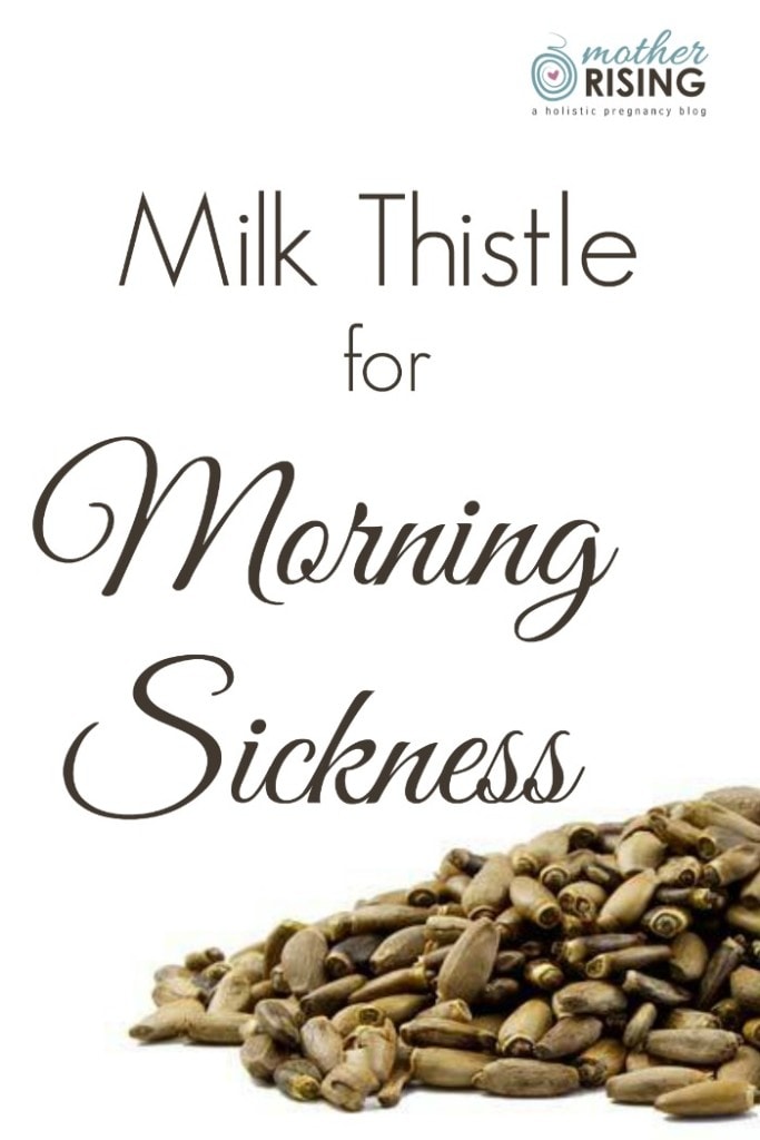 This is one of the most exciting morning sickness remedies I have come across! However, before we get to the what, we need to address the why behind the recommendation of milk thistle for morning sickness. 