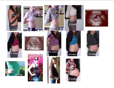 belly progression from week 4 through week 31