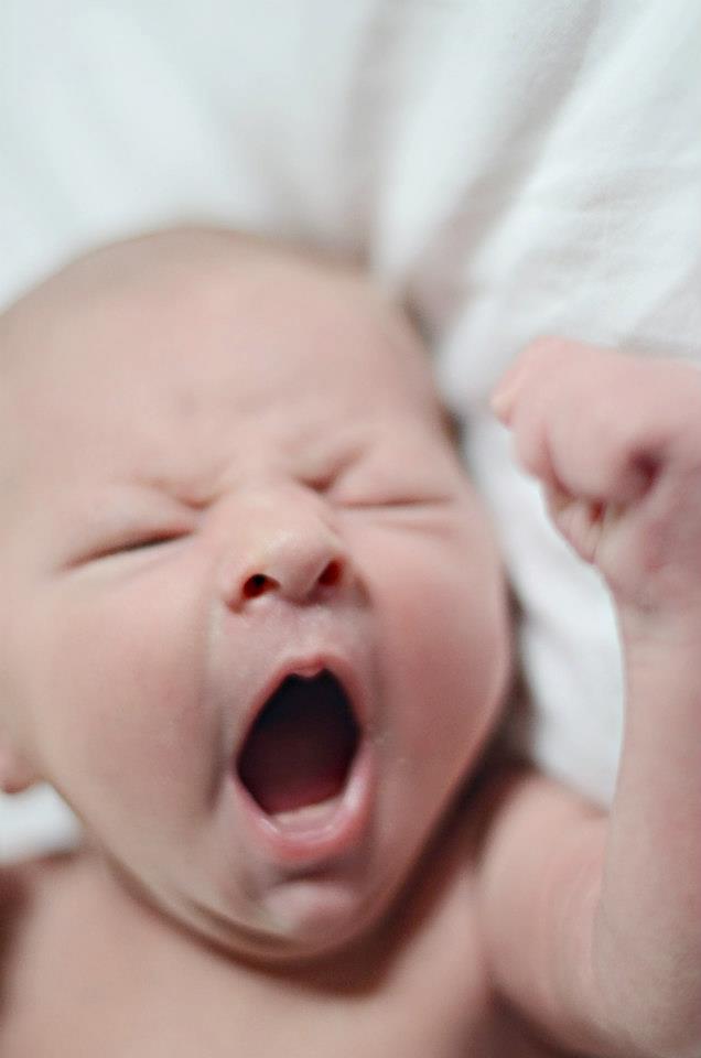 Newborn Photoshoot