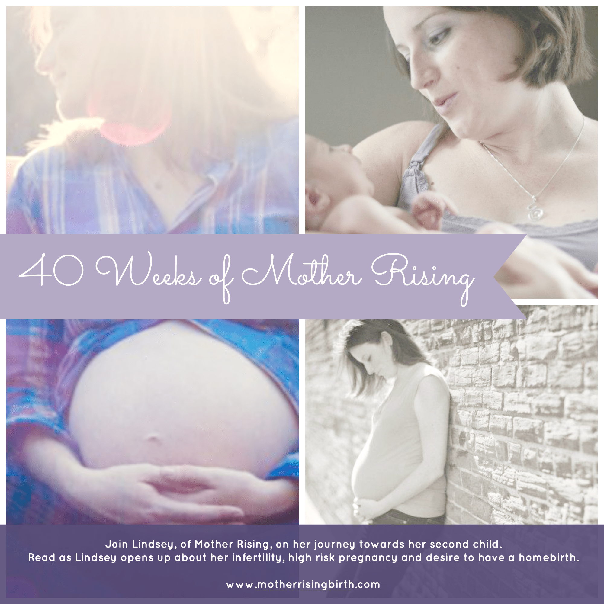 40 Weeks of Mother Rising – Week to Week Pregnancy Updates