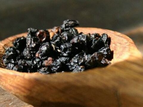 Elderberry Syrup For Babies Mother Rising