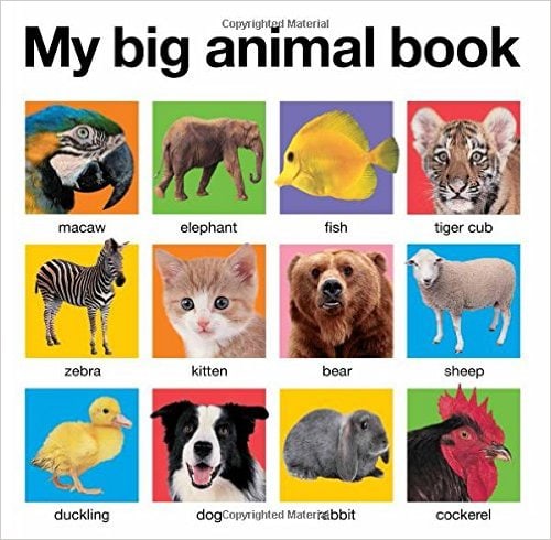 big-animal-book-priddy