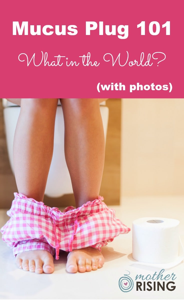 In this post we will discuss everything one needs to know about the mucus plug.  I hope you have a strong stomach, as I've included photos.  Click at your own risk. ;) 