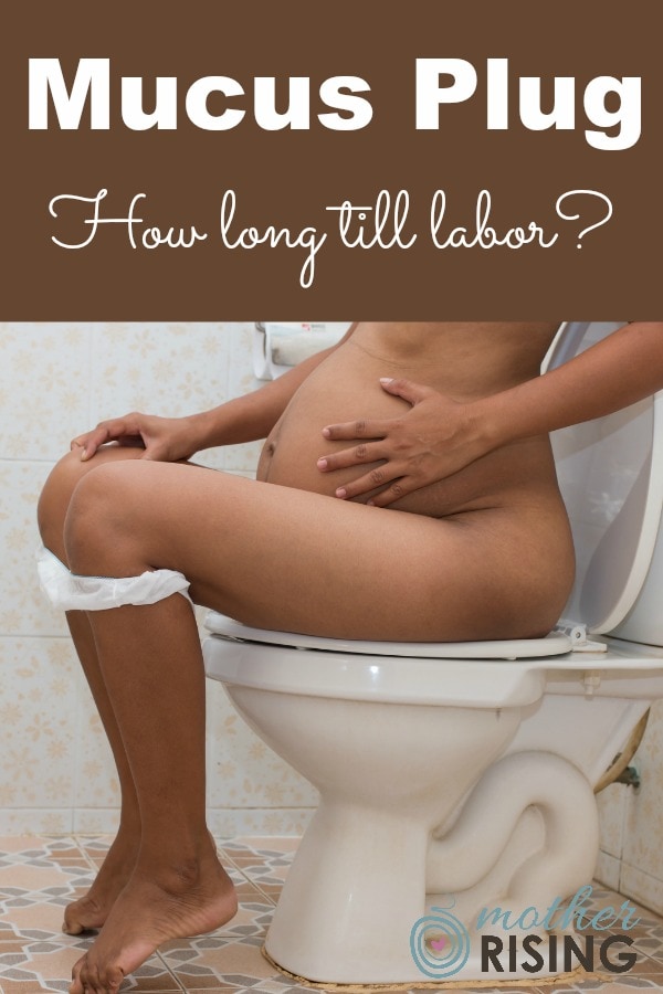 Curious about how long till labor after losing the mucus plug? Read this. (A mucus plug is very thick, snot-like mucus lodged in the cervix that acts as a physical and antibacterial barrier between baby and the outside world.) #pregnancy #labor #childbirth #thirdtrimester #laboranddelivery #birth