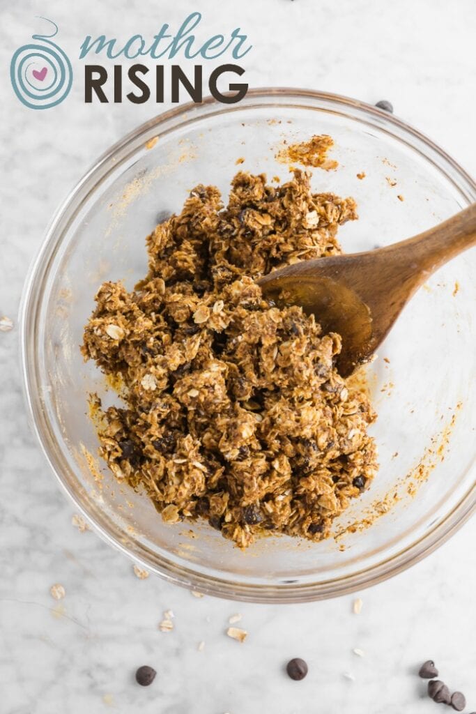 Lactation Energy Bites for All the New Moms Mother Rising