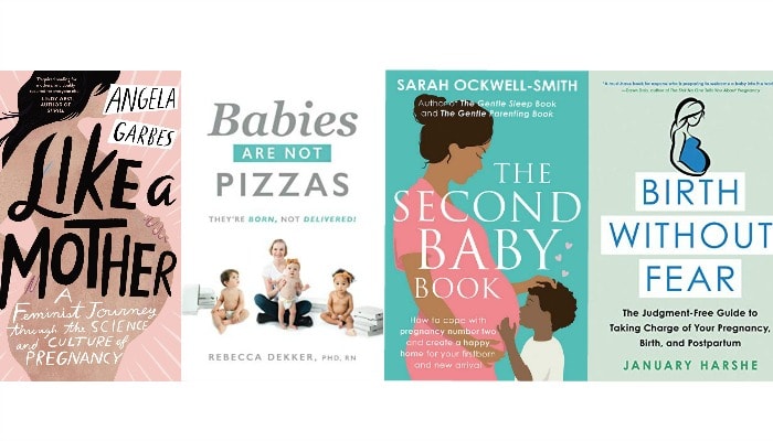 The Best Pregnancy Books of 2019 | Mother Rising