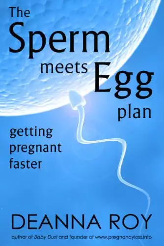 The Sperm Meets Egg Plan: Getting Pregnant Faster