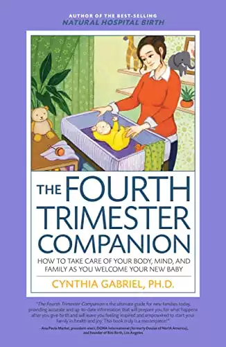 The Fourth Trimester Companion: How to Take Care of Your Body, Mind, and Family as You Welcome Your New Baby