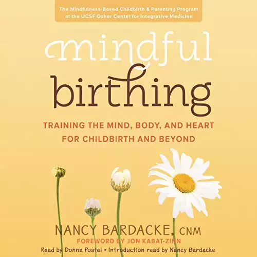 Mindful Birthing: Training the Mind, Body, and Heart for Childbirth and Beyond