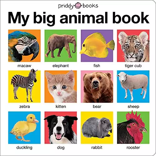 My Big Animal Book (My Big Board Books)