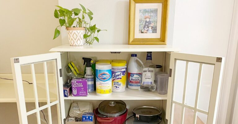 DIY Placenta Encapsulation Supplies